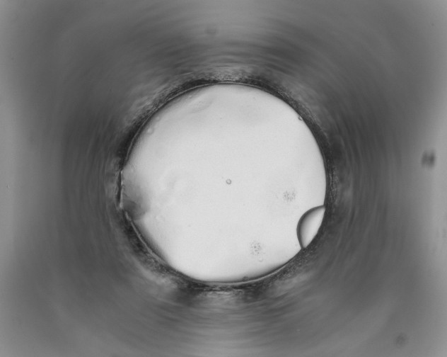 X0000089930307200707271803