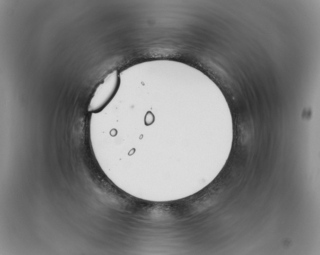 X0000089930308200707271803