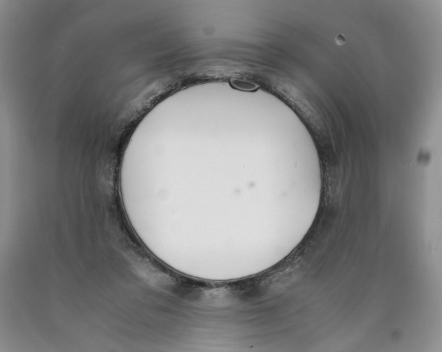 X0000089930309200707271803