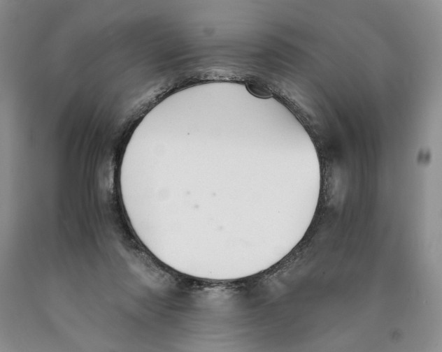 X0000089930310200707271803