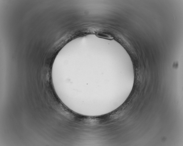 X0000089930313200707271803