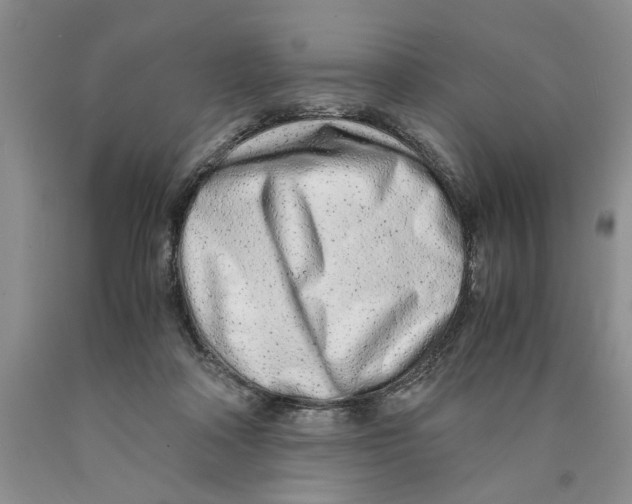 X0000089930314200707271803