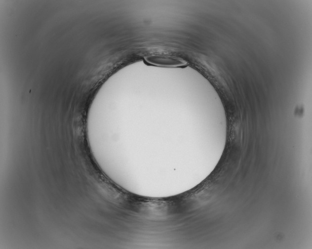 X0000089930317200707271803