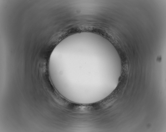 X0000089930323200707271803