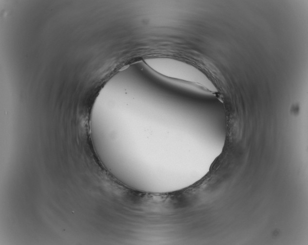 X0000089930329200707271803