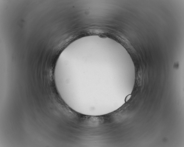 X0000089930330200707271803