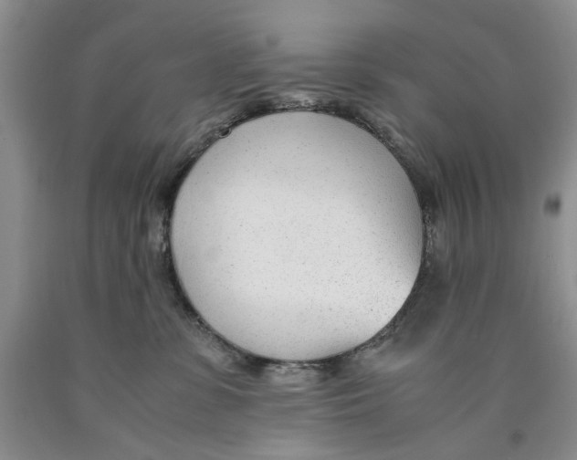 X0000089930331200707271803