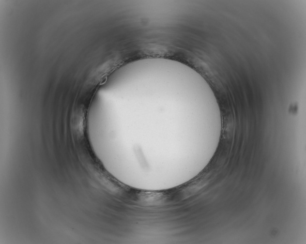 X0000089930334200707271803