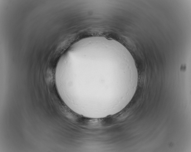 X0000089930335200707271803