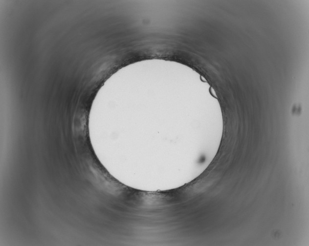 X0000089930336200707271803