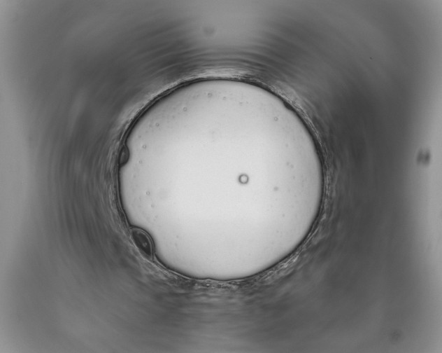 X0000089930337200707271802