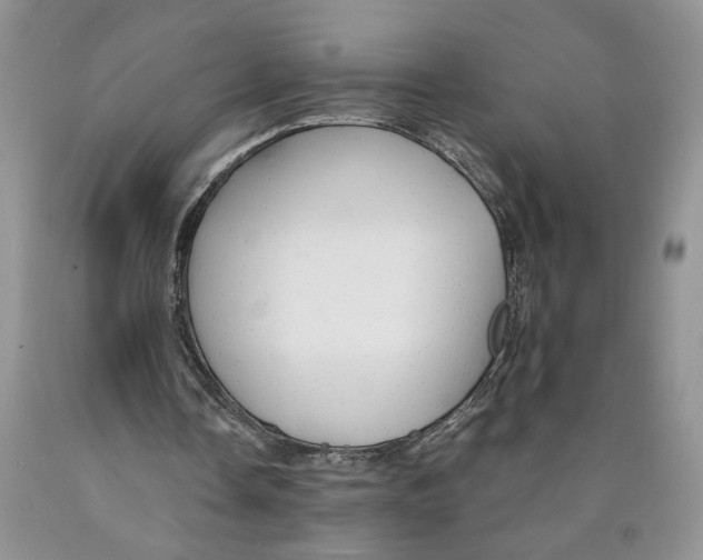 X0000089930338200707271802