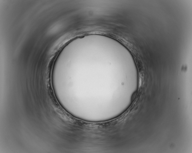 X0000089930339200707271802