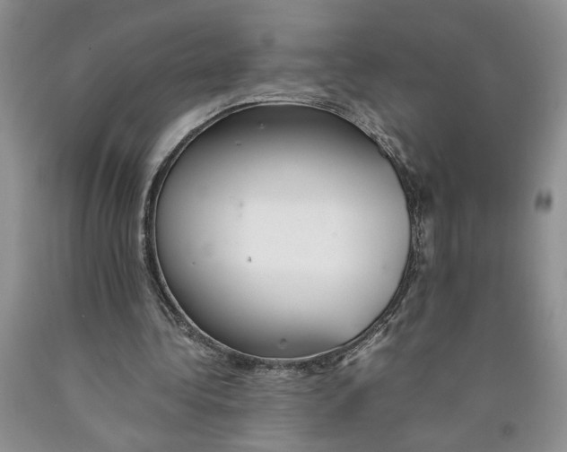 X0000089930340200707271802