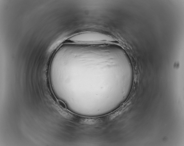 X0000089930341200707271802