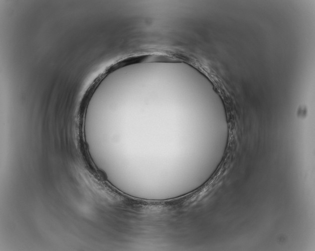 X0000089930342200707271802