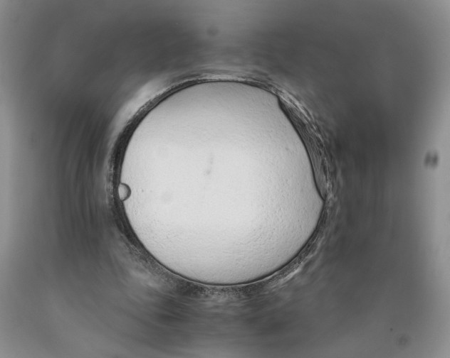 X0000089930343200707271802