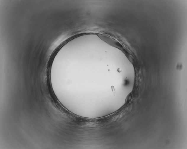 X0000089930344200707271802