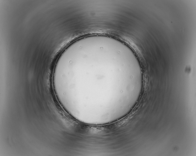 X0000089930346200707271802