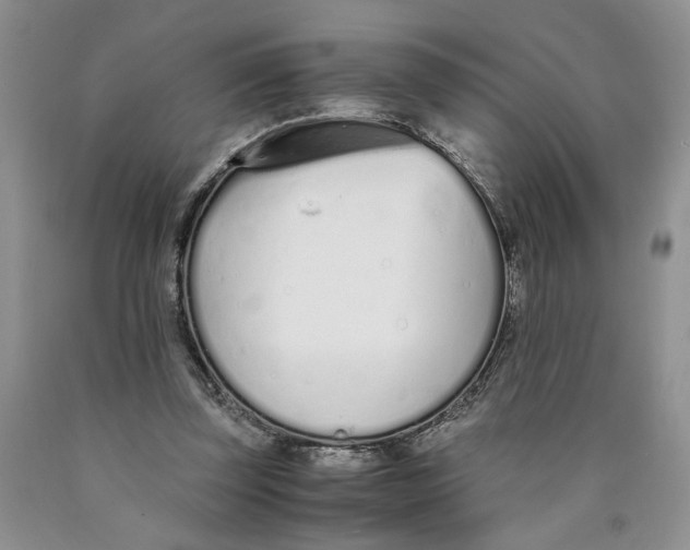 X0000089930347200707271802