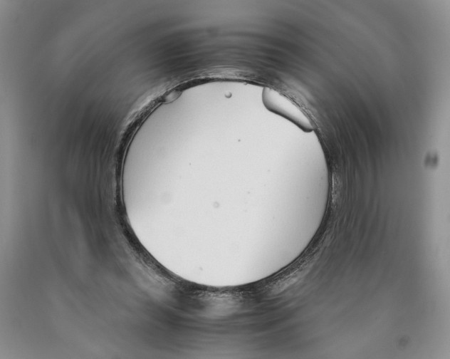 X0000089930349200707271802