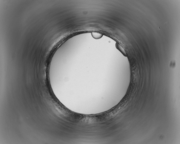 X0000089930350200707271802