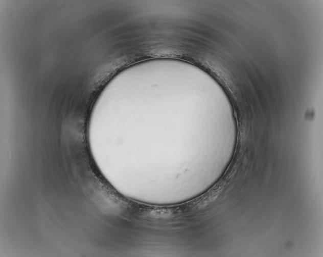 X0000089930353200707271802