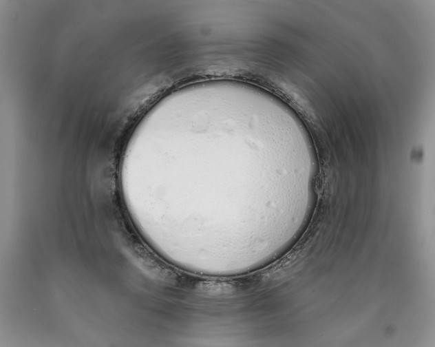 X0000089930354200707271802