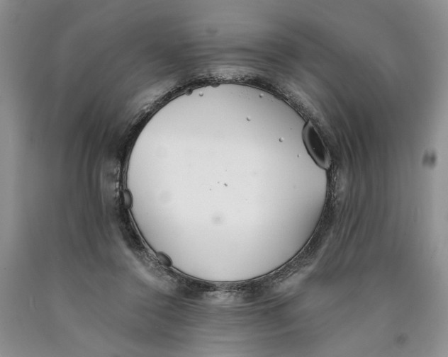 X0000089930356200707271802