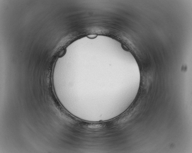 X0000089930357200707271802