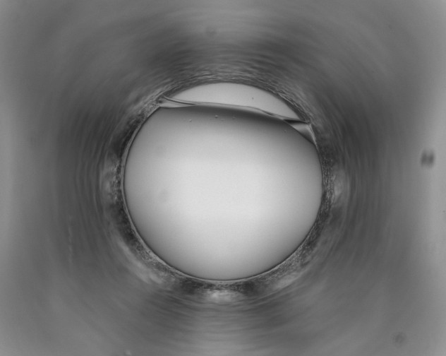 X0000089930360200707271802