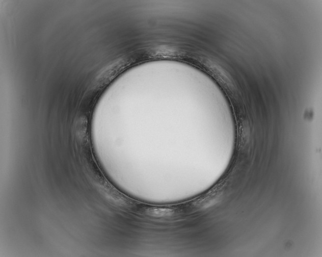 X0000089930361200707271802