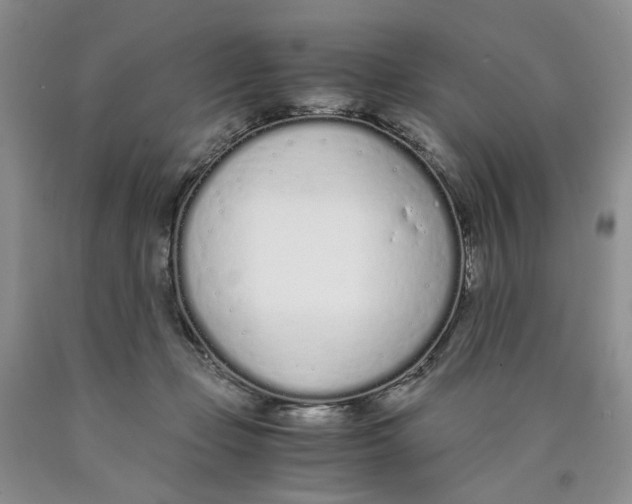 X0000089930365200707271802