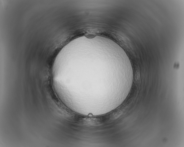 X0000089930367200707271802