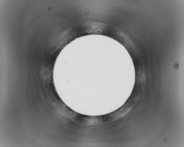 X0000089930370200707271802