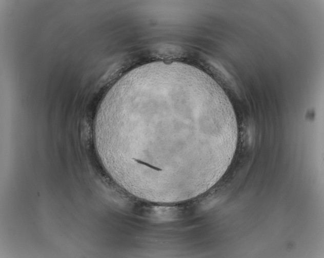 X0000089930371200707271802