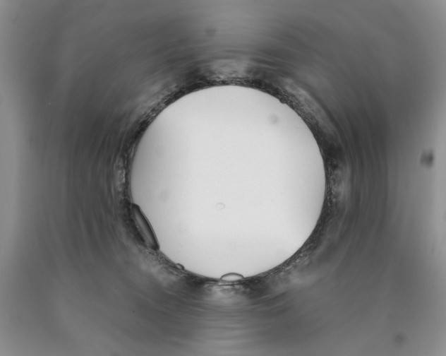 X0000089930372200707271802