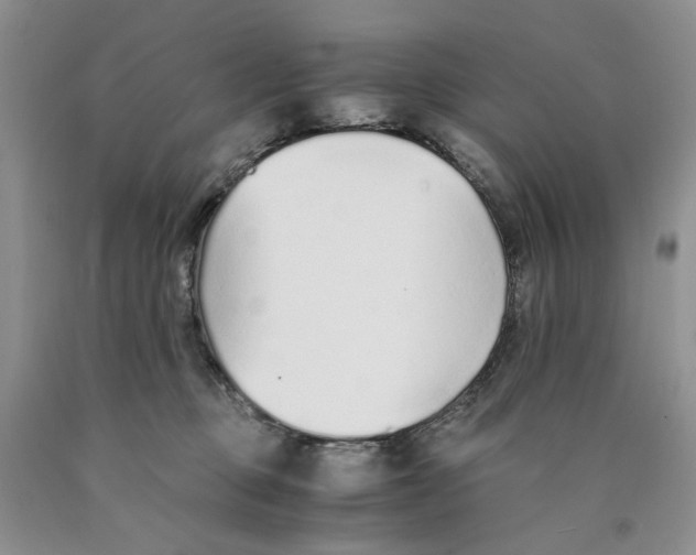 X0000089930373200707271802