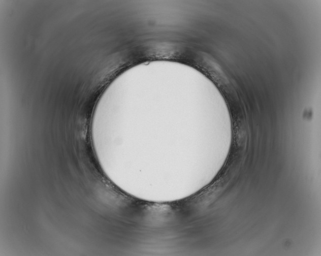 X0000089930374200707271802