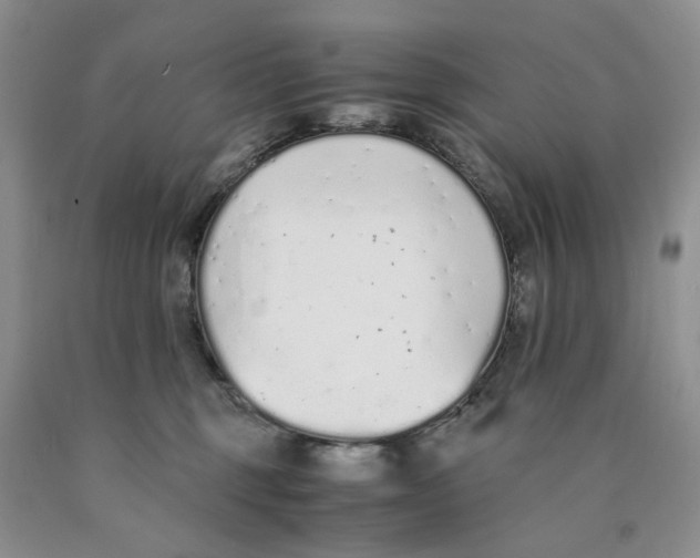 X0000089930375200707271802