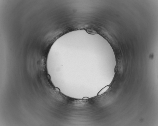 X0000089930378200707271803