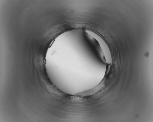 X0000089930380200707271803