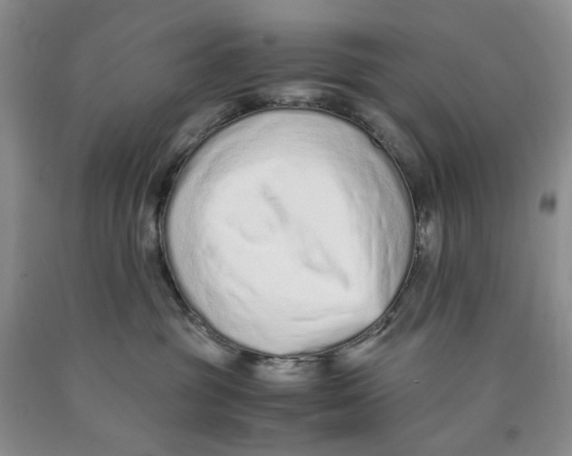 X0000089930381200707271803