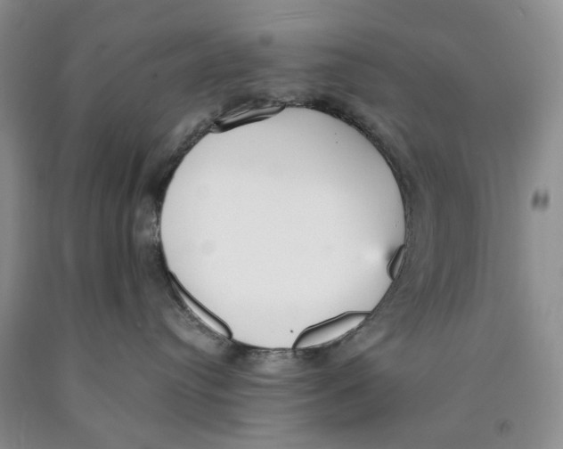 X0000089930384200707271803