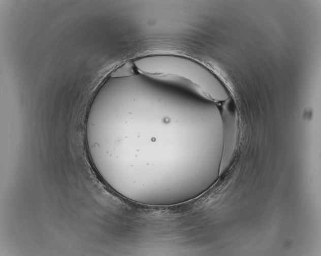 X0000089930385200707271802