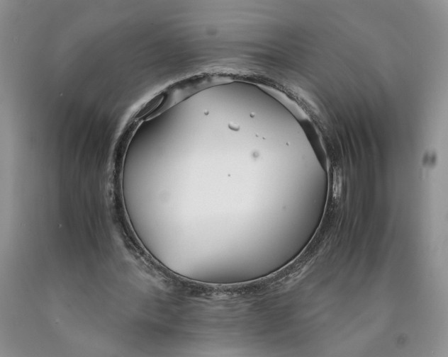 X0000089930388200707271802