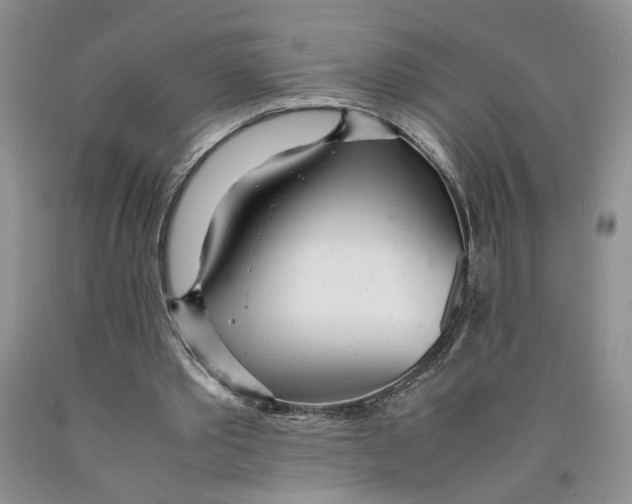 X0000089930389200707271802