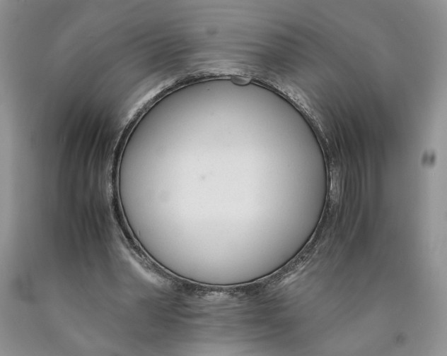 X0000089930390200707271802