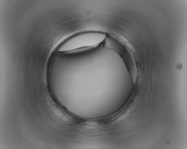 X0000089930391200707271802