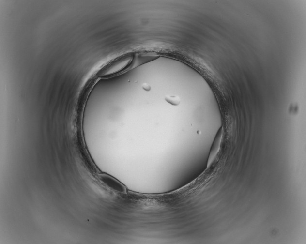 X0000089930392200707271802